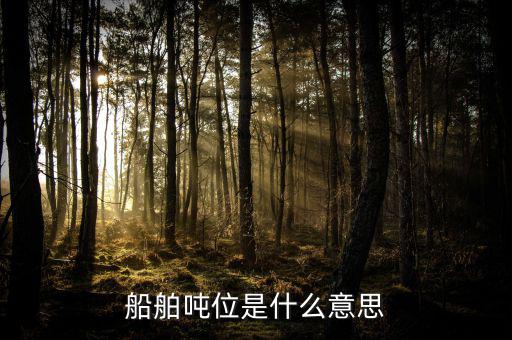 車船噸位是什么，船舶噸位是什么意思