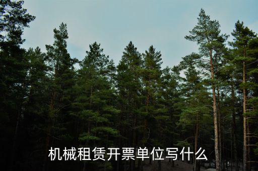 租賃費(fèi)開票單位填什么，機(jī)械租賃開票單位寫什么