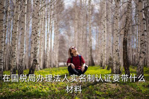 實(shí)名認(rèn)證稅務(wù)需要什么資料，在國稅局辦理法人實(shí)名制認(rèn)證要帶什么材料
