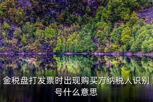購(gòu)貨方識(shí)別號(hào)是什么，開票方識(shí)別號(hào)是什么意思