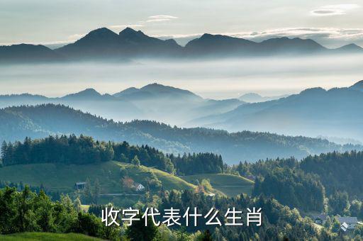 稅字代表什么生肖，十二生肖各代表什么字