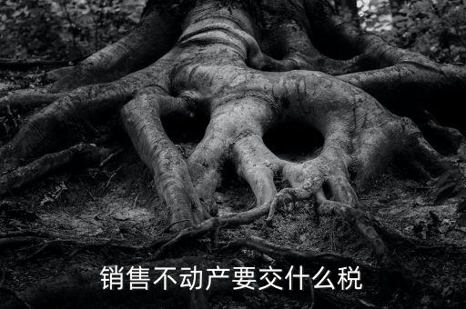 出售不動(dòng)產(chǎn) 交什么稅，銷售不動(dòng)產(chǎn)要交什么稅