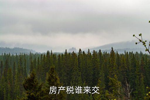 房產(chǎn)稅誰(shuí)來交