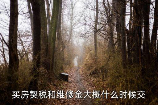 買商品房稅什么時(shí)候交，買房契稅和維修金大概什么時(shí)候交