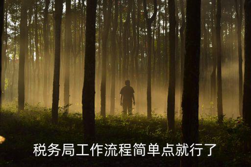 稅務(wù)局上班要什么手續(xù)，稅務(wù)局工作流程簡(jiǎn)單點(diǎn)就行了