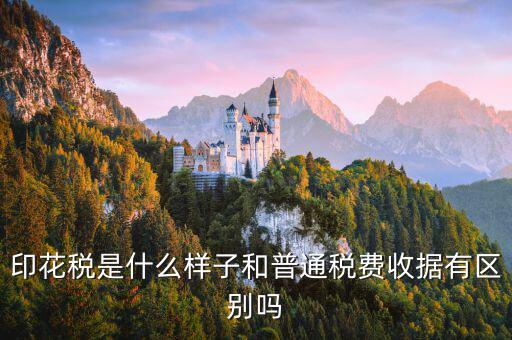 稅花什么樣，印花稅是什么樣子和普通稅費(fèi)收據(jù)有區(qū)別嗎
