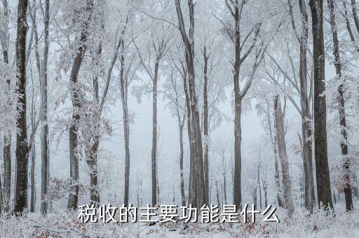 稅收職能作用是什么，稅收的職能又是什么呢