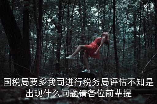 國(guó)稅評(píng)估局是干什么的，國(guó)稅局是做什么的說(shuō)簡(jiǎn)單點(diǎn)兒吧謝謝