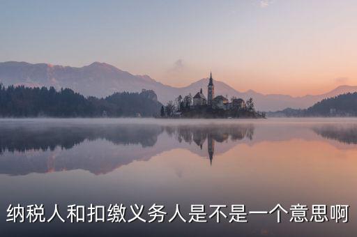 稅務(wù)人是什么，什么是納稅義務(wù)人