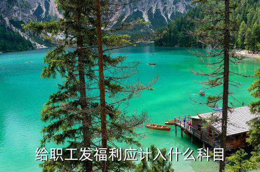 給員工發(fā)年終福利記什么科目，企業(yè)職工發(fā)放的年終獎(jiǎng)入什么科目