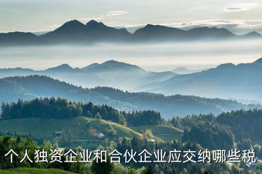 個(gè)人獨(dú)資和合伙企業(yè)交什么稅，個(gè)人獨(dú)資企業(yè)和合伙企業(yè)應(yīng)交納哪些稅