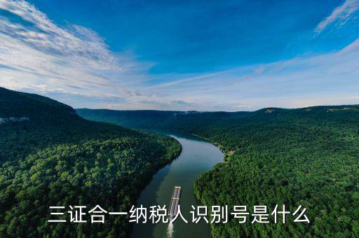 三證合一稅務(wù)識別號是什么，三證合一后納稅人識別號是什么意思
