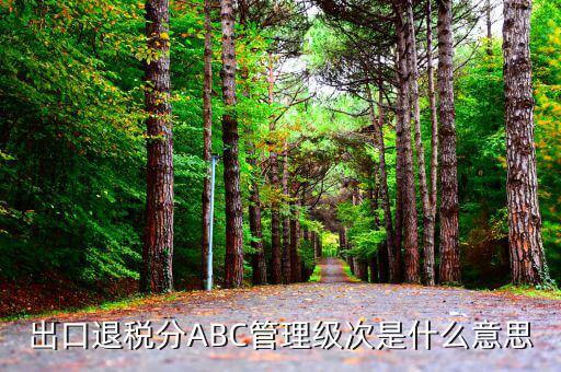 稅收級(jí)次是什么意思，稅收執(zhí)法的級(jí)次是什么