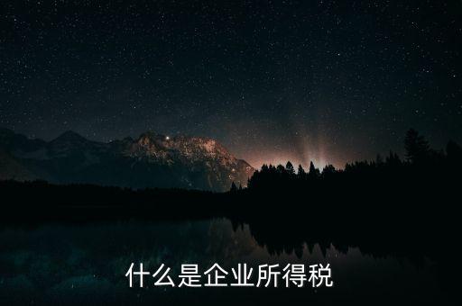 企業(yè)所得稅是什么，所得稅是什么