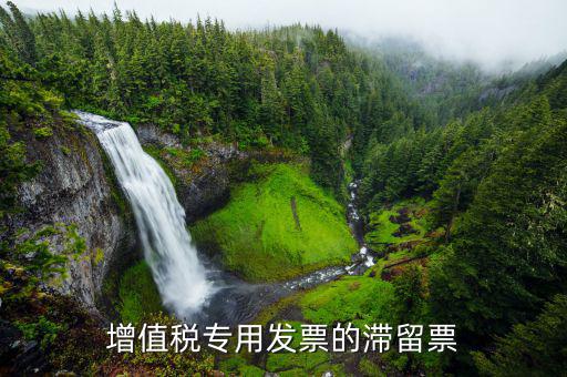 滯留票核查工作是干什么的，稅務(wù)局會(huì)查到期未抵扣的滯留增值稅專用發(fā)票嗎用來(lái)查帳外帳