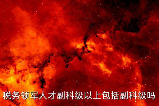 國(guó)稅領(lǐng)軍人才考什么用，稅務(wù)領(lǐng)軍人才副科級(jí)以上包括副科級(jí)嗎
