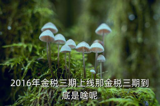 金稅三期雙軌是什么，金稅三期是什么意思