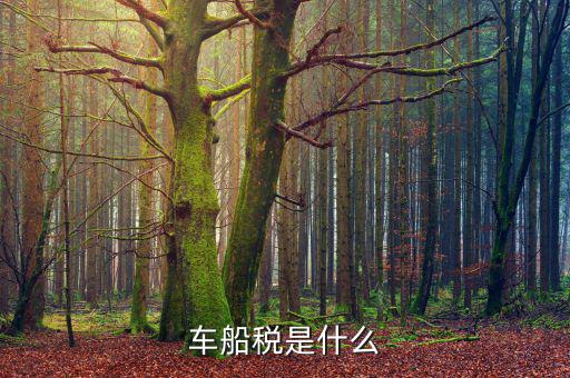 摩托車車船稅是什么，摩托車也收車船稅嗎