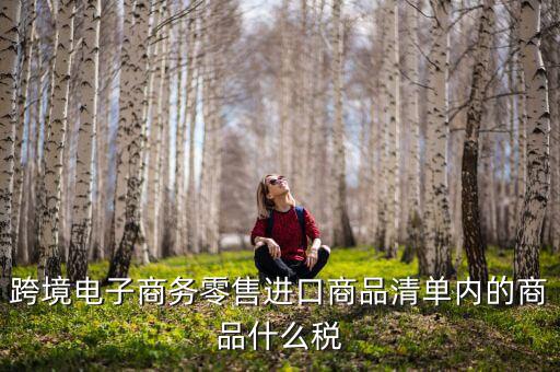 跨境電商應(yīng)交什么稅，跨境電商要繳納哪些稅