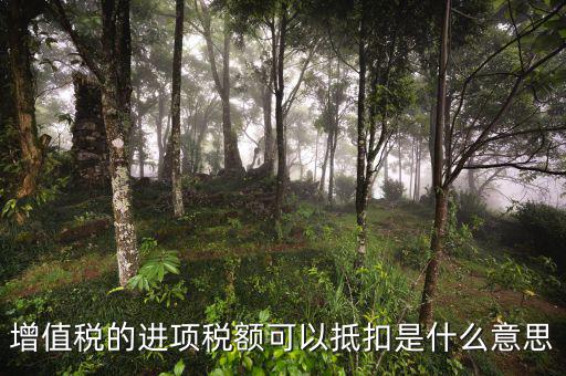 進項抵扣是什么，增值稅的進項稅額可以抵扣是什么意思