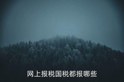 國稅云辦稅廳都報(bào)什么，你好我是新手我想問一下前輩國稅每月季年都報(bào)什么報(bào)表