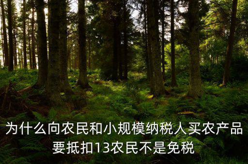 農(nóng)產(chǎn)品為什么要扣除，為什么向農(nóng)民和小規(guī)模納稅人買農(nóng)產(chǎn)品要抵扣13農(nóng)民不是免稅