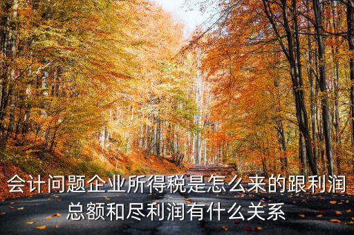 企業(yè)所得稅和什么有關(guān)，增值稅和企業(yè)所得稅有關(guān)系么