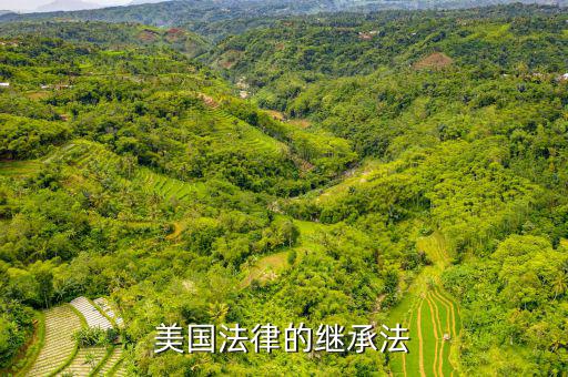 在美國什么叫遺產(chǎn)回收，為什么美國逆回購是回收貨幣