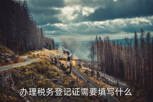 稅務(wù)登記地址填什么，填寫稅務(wù)登記地址是證件上的經(jīng)營地址還是批準(zhǔn)設(shè)立機關(guān)的地址