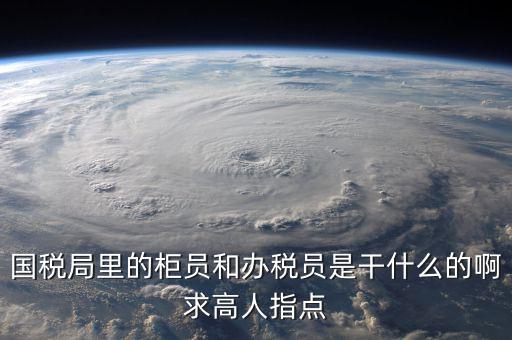 什么叫辦稅員，國(guó)稅局里的柜員和辦稅員是干什么的啊求高人指點(diǎn)