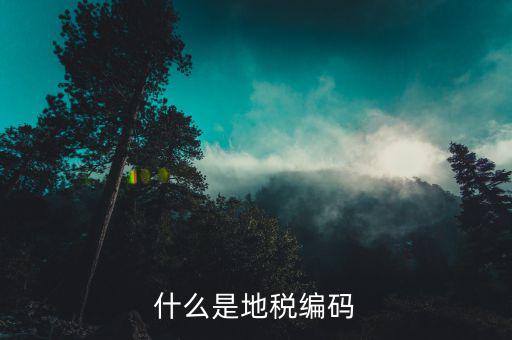 面條的稅務編碼是什么意思，稅務登記證上的企業(yè)編碼是什么意思不是就是稅務號