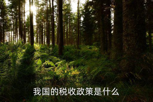 稅收屬于什么政策，我國(guó)的稅收政策是什么
