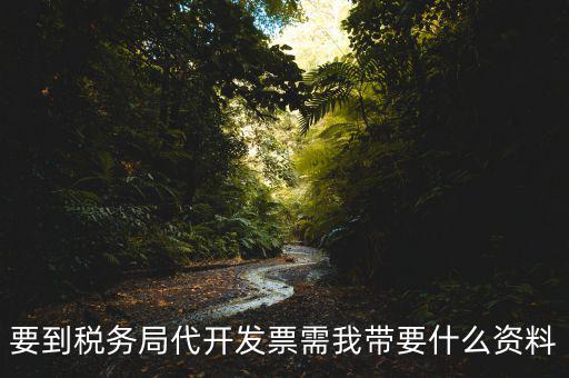 去稅務(wù)局開票需要帶什么資料，去稅務(wù)局開票的話需要帶什么材料呢