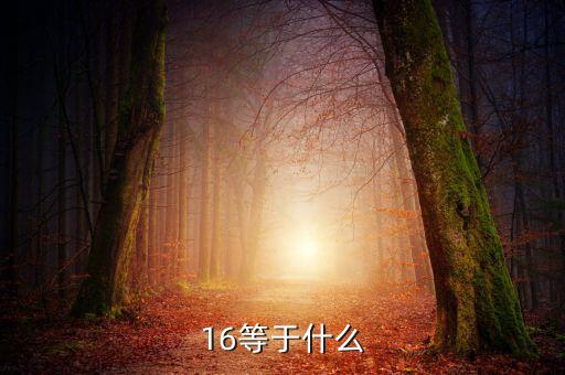 什么深圳1 6政策指，16等于什么