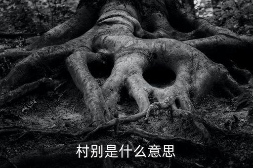 稅務所村審是什么意思，村別是什么意思