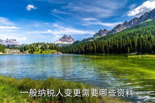 變更報(bào)稅人需要帶什么，公司變更納稅人需要帶什么材料