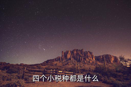 地稅小稅種是什么意思，四個小稅種都是什么