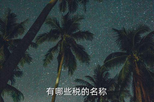 什么是稅收名稱(chēng)大類(lèi)，增值稅普通發(fā)票的商品名稱(chēng)寫(xiě)大類(lèi)稅務(wù)局能通過(guò)嗎