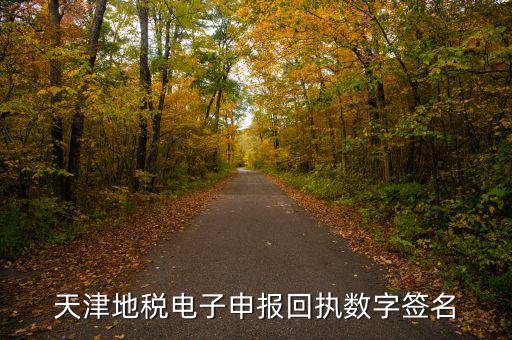 天津地稅自查表是什么，天津地稅電子申報回執(zhí)數(shù)字簽名