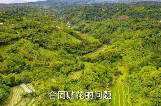 為什么合同不貼花，繼續(xù)使用已到期合同無(wú)需貼花怎么理解