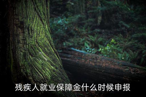 殘疾人保障金什么時候，殘疾人就業(yè)保障金怎么交什么時侯交會計分錄