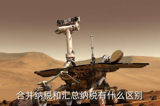 合并計稅是什么意思，什么是應稅合并和免稅合并