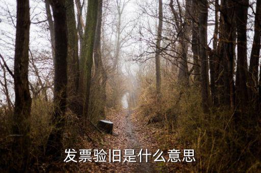 稅務(wù)驗(yàn)舊是什么意思，發(fā)票驗(yàn)證時(shí)提示舊系統(tǒng)已驗(yàn)舊是什么意思