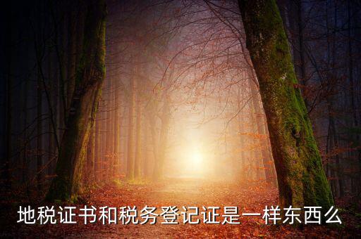 地稅登記證是什么，地方稅納稅資料封面上稅務(wù)登記證號是甚么