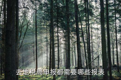 什么情況需要稅務(wù)申報(bào)表，納稅申報(bào)需提供哪些會(huì)計(jì)報(bào)表