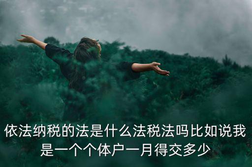 什么是依法納稅人，依法納稅的法是什么法稅法嗎比如說(shuō)我是一個(gè)個(gè)體戶(hù)一月得交多少