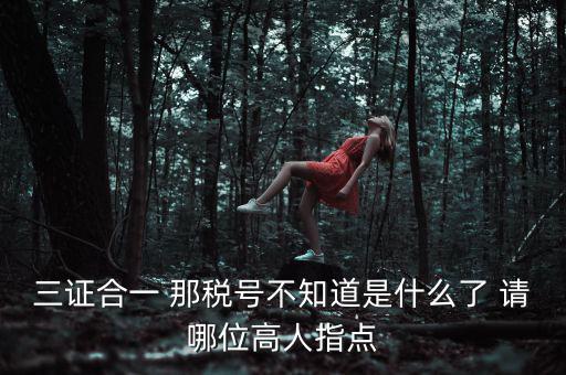 三證合一后的發(fā)票稅號是什么意思，三證合一 那稅號不知道是什么了 請哪位高人指點