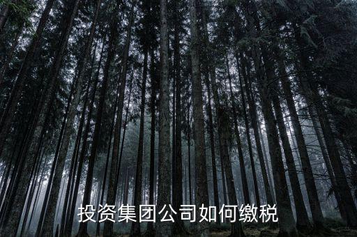 投資公司交什么稅2017，投資集團(tuán)公司如何繳稅