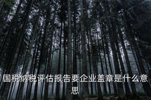 稅務(wù)國別報(bào)告是什么意思，國稅納稅評估報(bào)告要企業(yè)蓋章是什么意思