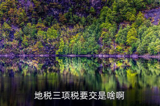 地稅三項制度是什么，地稅三項稅要交是啥啊